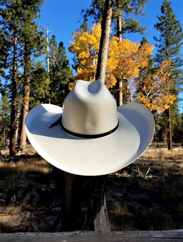 Chihuahua Shantung Cowboy Hats